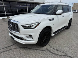 
										2019 INFINITI QX80 full									