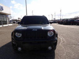 2019 Jeep Renegade